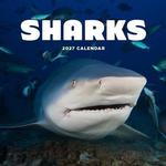 2027 Sharks Calendar