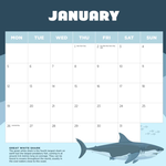 2026 Sharks Calendar alternate 2