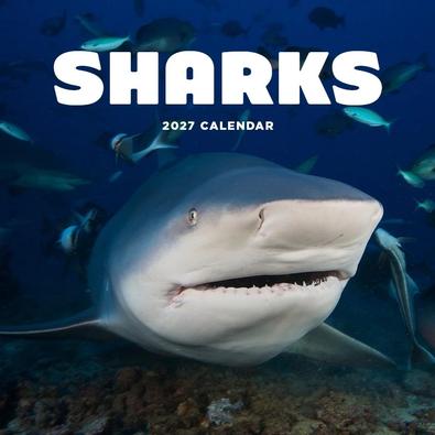 2027 Sharks Calendar cover