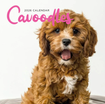 2026 Cavoodles Calendar thumbnail