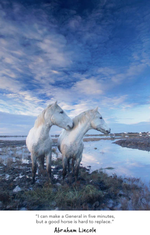 2026 Wild Horses Diary alternate 3
