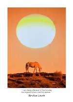 2027 Wild Horses Diary alternate 3