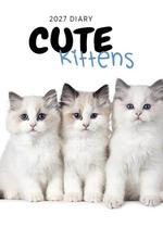 2027 Cute Kittens Diary