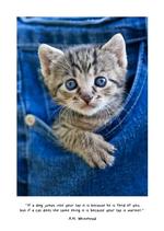 2026 Cute Kittens Diary alternate 3