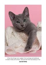 2027 Cute Kittens Diary alternate 3