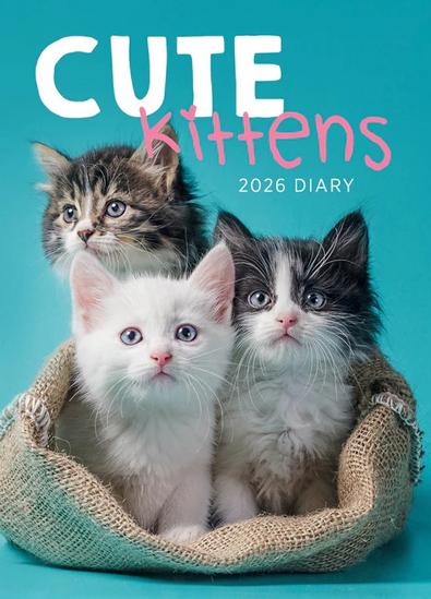 2026 Cute Kittens Diary cover