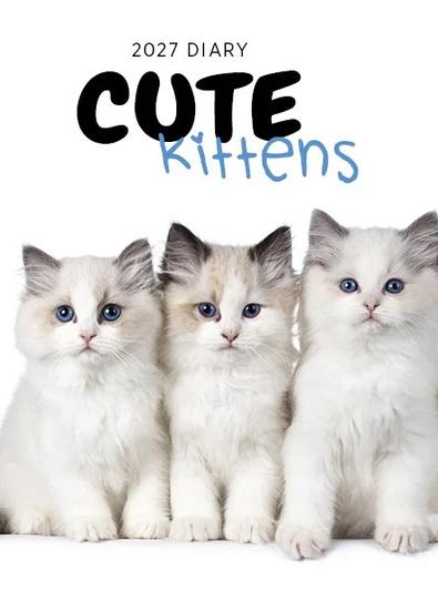 2027 Cute Kittens Diary cover