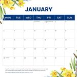 2026 Daffodils Cancer Council Calendar alternate 2