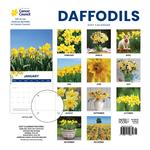 2027 Daffodils Cancer Council Calendar alternate 1