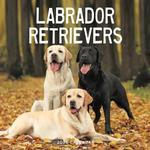 2026 Labrador Retriever Calendar thumbnail