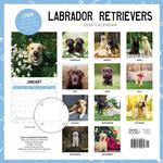 2026 Labrador Retriever Calendar alternate 1