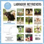 2027 Labrador Retriever Calendar alternate 1