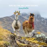 2026 Fashion Llamas Calendar alternate 3