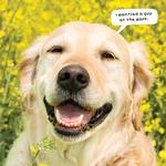 2026 Doggy Shenanigans Calendar alternate 3