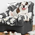 2027 Doggy Shenanigans Calendar alternate 3