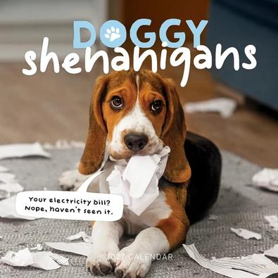2027 Doggy Shenanigans Calendar cover