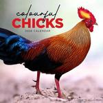 2026 Colourful Chick Calendar thumbnail