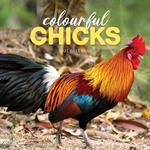 2027 Colourful Chick Calendar