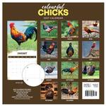 2027 Colourful Chick Calendar alternate 1