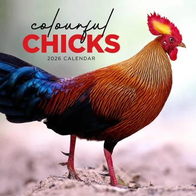 2026 Colourful Chick Calendar cover