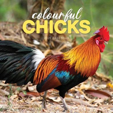 2027 Colourful Chick Calendar cover