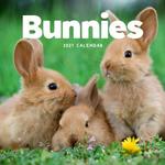 2027 Bunnies Calendar