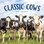 2027 Classic Cows Calendar