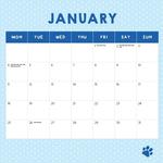 2027 Cute Cats Calendar alternate 2
