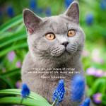 2027 Cute Cats Calendar alternate 3