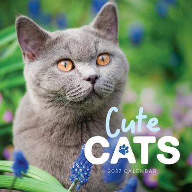 2027 Cute Cats Calendar cover