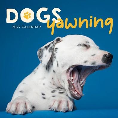 2027 Dogs Yawning Calendar cover