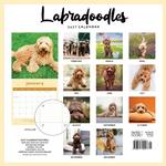 2027 Labradoodles Calendar alternate 1