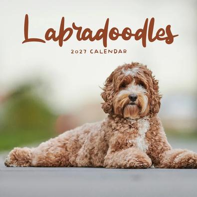 2027 Labradoodles Calendar cover