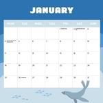 2027 Seals and Sea Lions Calendar alternate 2