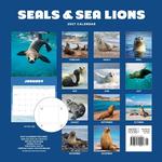 2027 Seals and Sea Lions Calendar alternate 1