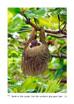 2027 Sloths Diary alternate 3
