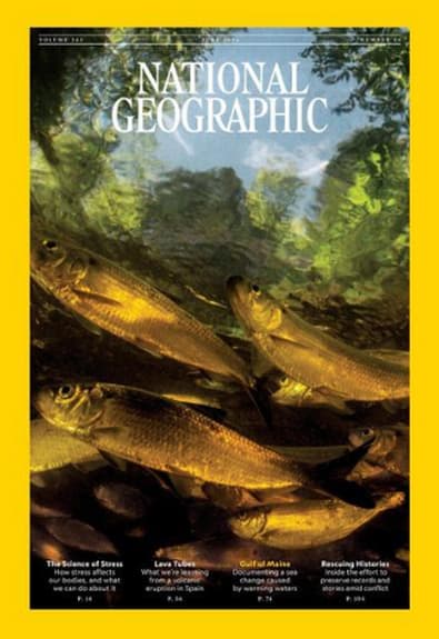 National Geographic - 12 Month Subscription