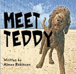 Meet Teddy cover