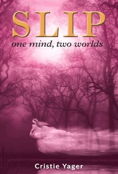 Slip: Two WorldsOne Mind cover