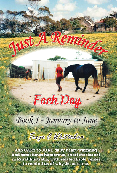 Just a Reminder Each Day - Book 1 cover