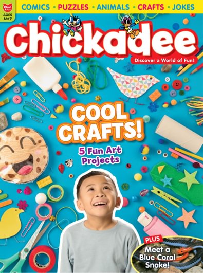 ChickaDEE magazine cover