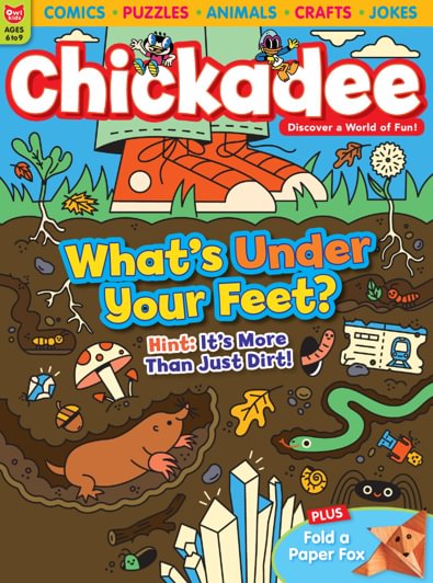 ChickaDEE magazine cover