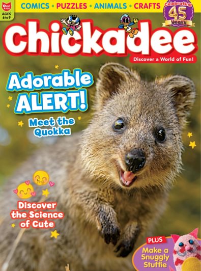 ChickaDEE magazine cover