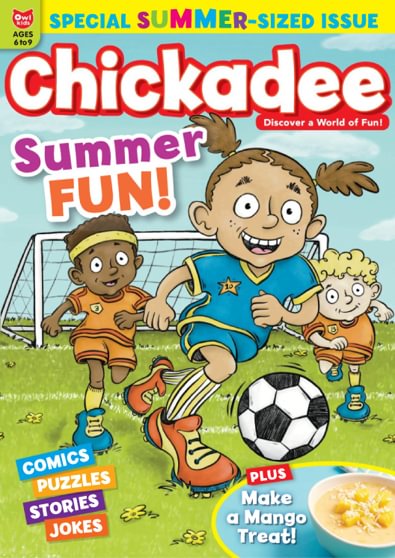 ChickaDEE - 12 Month Subscription