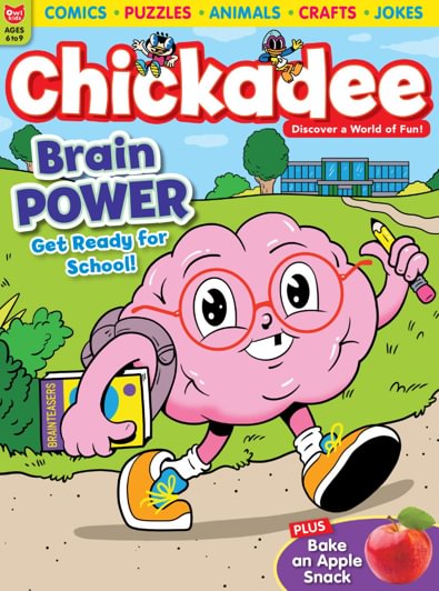 ChickaDEE magazine cover