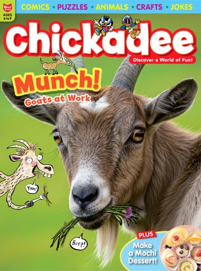 ChickaDEE magazine cover
