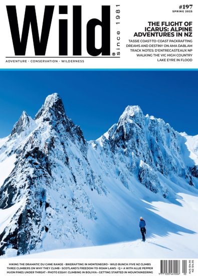 Wild digital cover