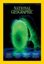 National Geographic Interactive