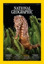 National Geographic Interactive