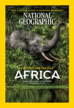 National Geographic Interactive